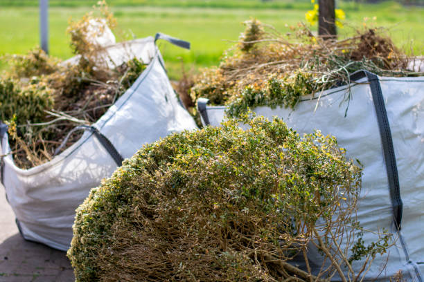 Best Estate Cleanout Services  in Dexter, GA